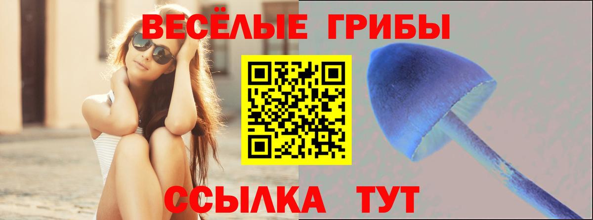Унеча  Псилоцибиновые грибы Cubensis  Вход с VPN 